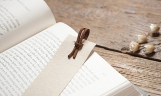 什么是精神品质（什么是精神品质生活）