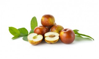 冬枣树苗什么季节种植(枣树冬季什么时候种植)