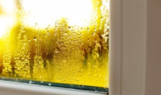 为什么把雾称为海陆空的无形杀手 为什么把雾称为海陆空的无形杀手之王