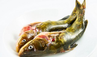 红烧黄鸭叫的做法 红烧黄鸭叫的做法大全