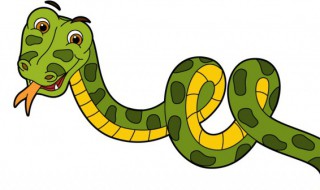 女人梦见蛇怎么回事（女人梦见蛇是怎么回事）