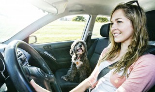 车上的AUTO 车上的auto是什么功能