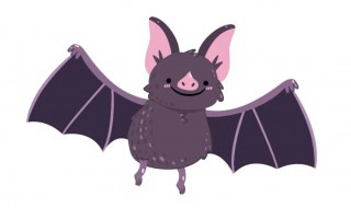 蝙蝠属于昆虫吗（蝙蝠是昆虫吗?蝙蝠属于鸟类吗?）