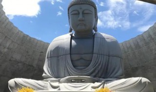 世界上最大的坐佛在哪里 世界最大的坐佛位于