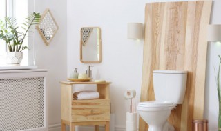 马桶日常保养注意事项有哪些（马桶保养常识）