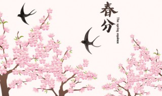 春分中的分是什么意思 春分的分有几个含义