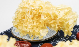 湿银耳能在冰箱放多久 湿银耳冷冻能保存多久