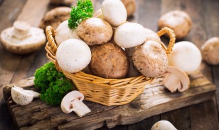 口蘑可以在冰箱放多久（口蘑放冰箱能放几天）