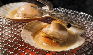 栉孔扇贝和海湾扇贝的区别在哪里（栉孔扇贝和海湾扇贝的区别在哪里有）