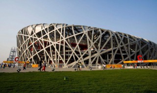 鸟巢的象征 鸟巢表达的是什么