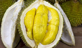 榴莲什么季节最成熟（榴莲的最佳成熟季节）
