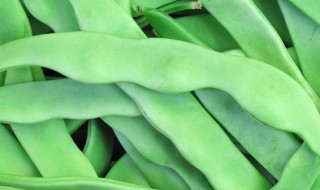 福豆煮熟了可以放冰箱放多久 煮熟的豆在冰箱能放多久