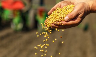 植物的种子能活多久 种子可以活多久