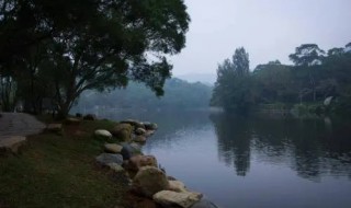 埠里在哪里（埠城是哪里）