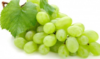 葡萄为什么要疏花疏果 葡萄怎么疏花