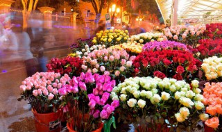 为什么有些花卉需要无性繁殖 花卉的无性繁殖