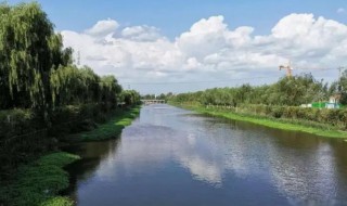 乌河在哪里(河乌是什么)