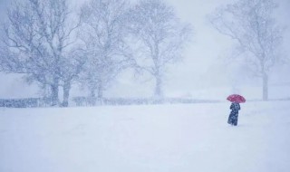 为什么大雪有时被称为白色死神（大雪后,什么是白的）