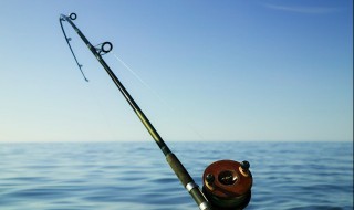 为什么有的鱼非常容易钓到（什么鱼不容易被钓）