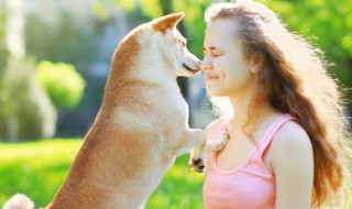 哼哈二将霸气宠物的名字（哼哈二将的全名）