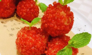 脆花粒属于是什么东西（脆花颗粒是植物吗）