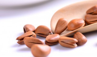 杜松子国内叫什么（杜松子在中国叫什么）