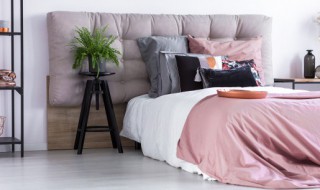 床虱出现的信号（床虱是什么引起的）