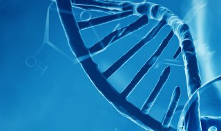 氨基酸是酸性还是碱性呢 氨基酸有酸碱性吗