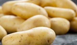 洋芋是哪个地方的叫法 洋山芋是哪里的叫法