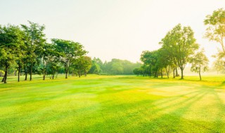 三月的季节特点（三月的季节特点,说这种说法没有）