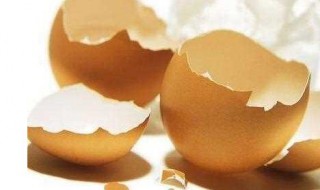 为什么施蛋壳茶叶渣对花卉有害 为什么施蛋壳茶叶渣对花卉有害处