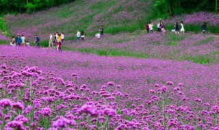 谷里在哪里（谷里在哪儿）