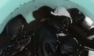 衣服掉毛毛怎么洗会好些 衣服洗的时候掉毛毛怎么处理