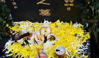 清明节网上祭英烈寄语 清明节网上祭英烈寄语活动