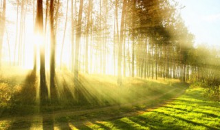 四月短句说说（四月说说心情短语）