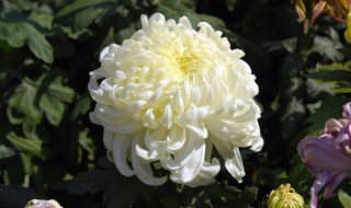 清明说说发什么 清明说说短句