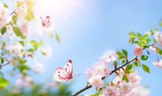 清明节心情说说难过 清明节的说说心情不好