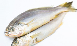 生鱼放在冰箱的冷冻里可以放多久（生鱼放在冰箱的冷冻里可以放多久啊）