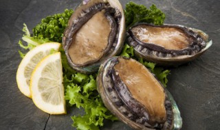 鲍鱼干需要放冰箱吗 鲍鱼干放冰箱能保存多久