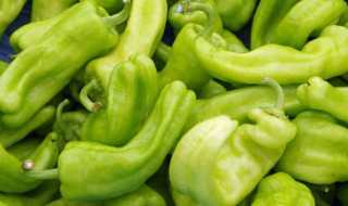 切辣椒有什么方法能让手不辣 切辣椒怎么样才能让手不辣