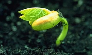 热爱生命的作者简介 热爱生命的作者简介及写作背景