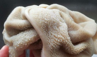 羊肚可以放冰箱冷冻吗（羊肚可以冷冻保存吗）