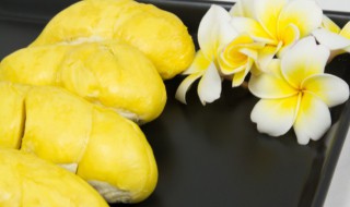 没熟的榴莲切开了怎么办能蒸 榴莲没熟透就剥开了能蒸熟吗