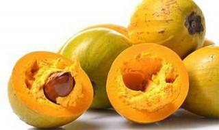 鸡蛋果树种植方法（鸡蛋果树怎样种植）