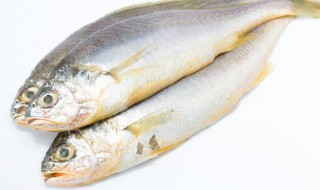 清蒸鲽鱼的制作方法(清蒸鲥鱼的做法步骤)