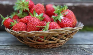 草莓种子种植方法 四季草莓种子种植方法