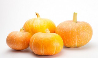 南瓜可以放在冰箱里保存吗（南瓜保存要放冰箱吗）