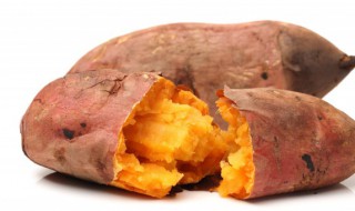 地瓜密封保存可以吗 地瓜可以放冷冻保存吗