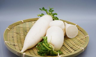 白萝卜可以放冰箱冷藏吗（白萝卜能放冰箱冷藏吗?）