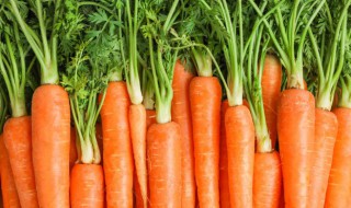 胡萝卜可以放冰箱冷藏吗（胡萝卜可以放冰箱冷藏保存吗）